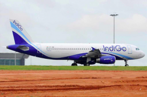 Indigo Flight Tickets