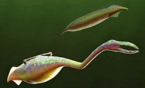 Tully Monster