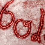 ebola virus in liberia 2016
