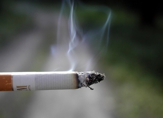 Smoking Banned at Park in California for Animal Protection