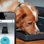 This smart phone controlled home security camera will take care of your dog