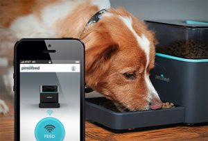 This smart phone controlled home security camera will take care of your dog