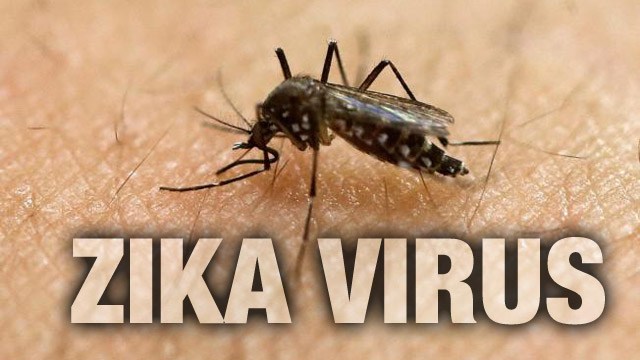 Latest Research Suggests that Zika Virus can spread through tears as It can persist in eyes