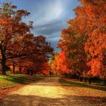 Autumn Fall Quotes