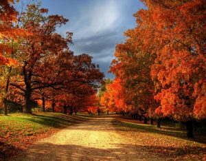 Autumn Fall Quotes