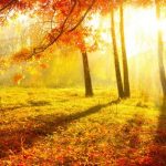Happy Autumn Quotes, Sayings & Greetings to Welcome the Season
