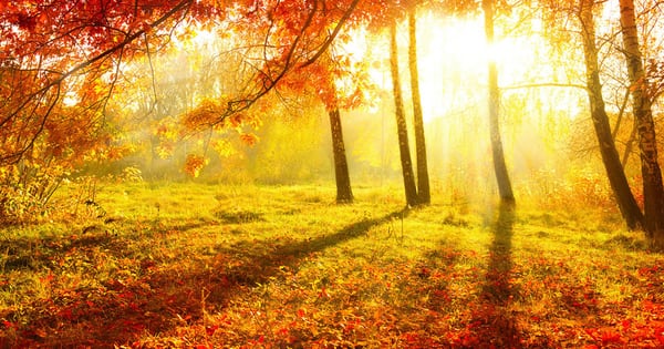 Happy Autumn Quotes, Sayings & Greetings to Welcome the Season