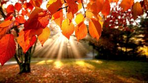 September Equinox Autumnal Equinox 2016 is on September 22