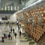 Indira Gandhi International Airport is Now Carbon-Neutral: First One in Asia-Pacific Region