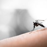 13 Indians positive with Zika virus in Singapore; Confirms MEA