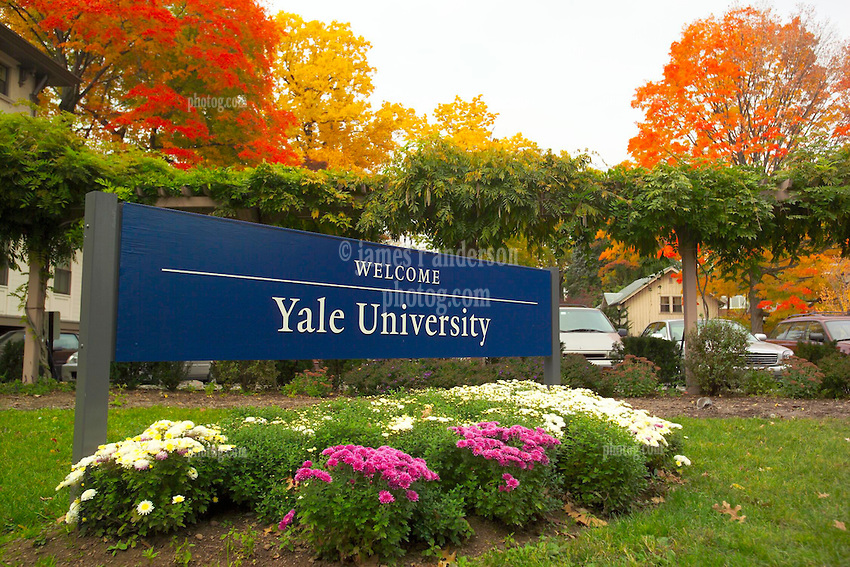 Yale University is Offering Scholarships to Class 10th and 11th Students, Apply Now !