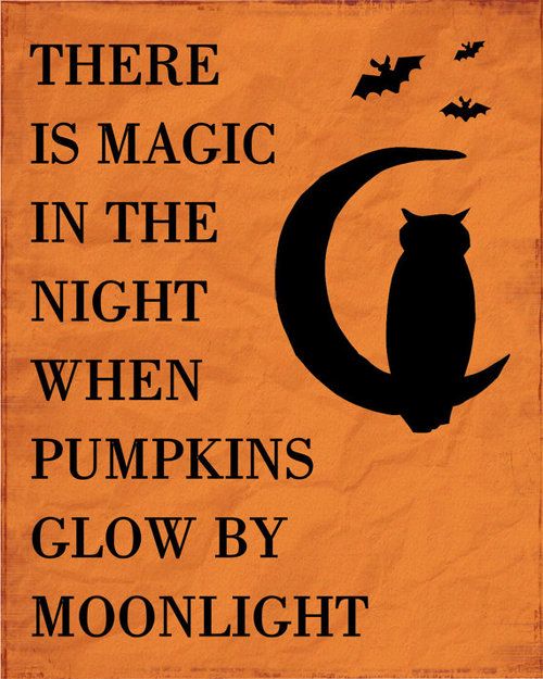 Happy Halloween Quotes 