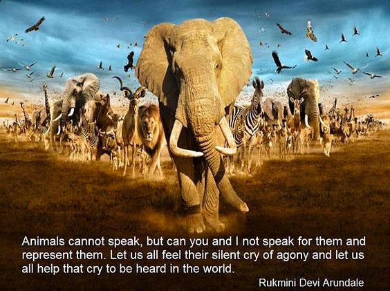 World Animal Day 2016 Quotes