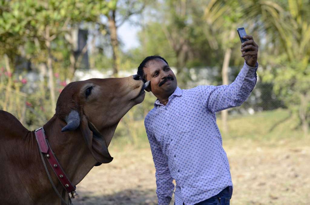 India Tops the Chart with Most Selfie-related Deaths; 76 Deaths Noticed in Last Two Years