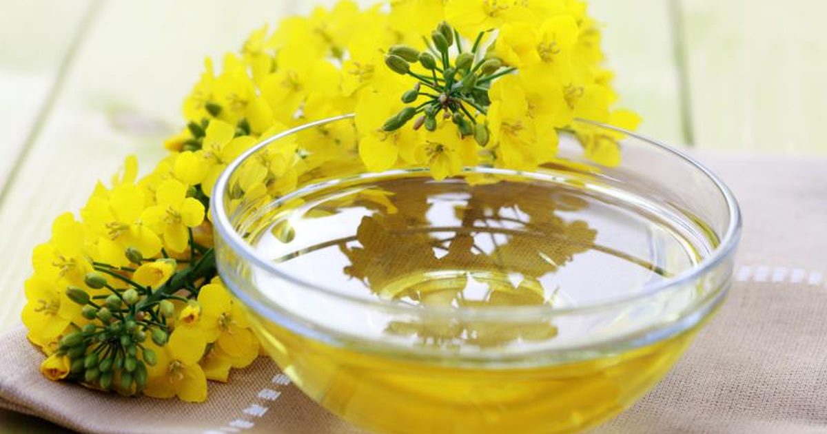 Want to Trim Your Belly Fat? Then Start Using Canola Oil in Your Food