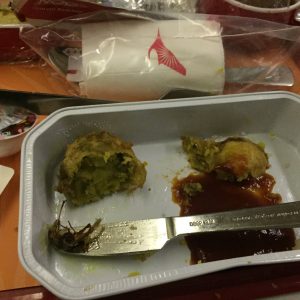 A Man found cockroach in his vegetarian food during travelling in Air India