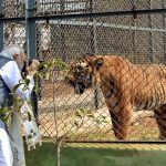 PM Modi turns "Photographer" to capture wildlife into his Camera
