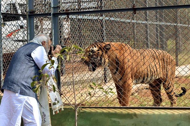 PM Modi turns "Photographer" to capture wildlife into his Camera