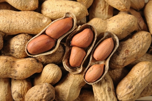 7 Amazing Health Benefits of Peanuts that help maintain good health in chilly winters