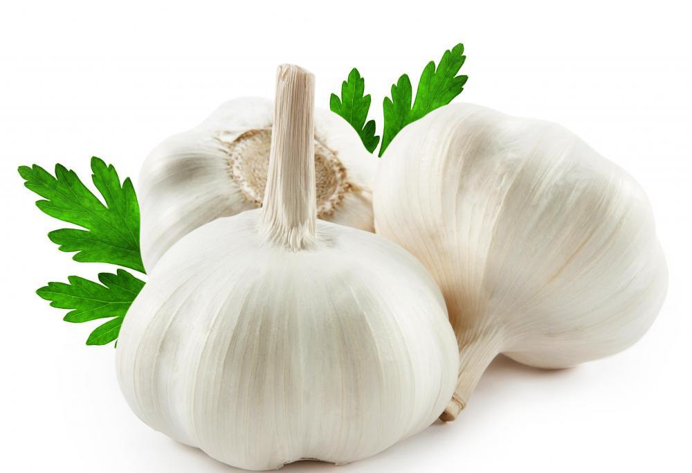Antiviral Herbs: Garlic