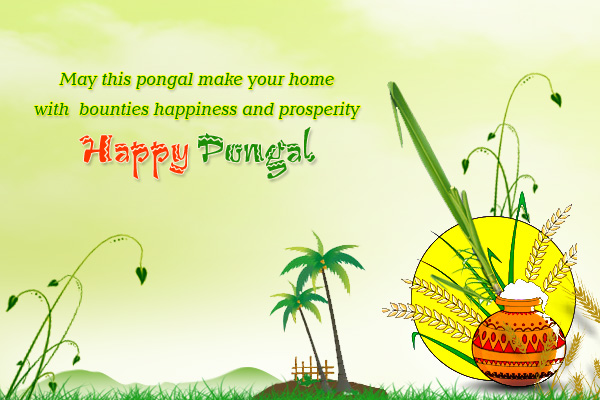Happy Pongal Facebook Status