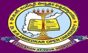 BRAU Degree Suppli Results 2016, BRAU Suppli Results 2016, BRAU Results 2016, BRAU, Results, Dr B.R. Ambedkar University