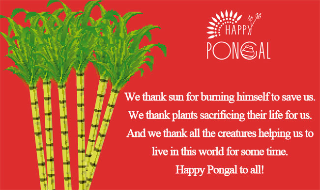 Happy Pongal Pictures