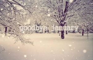 Goodbye January Welcome February Quotes