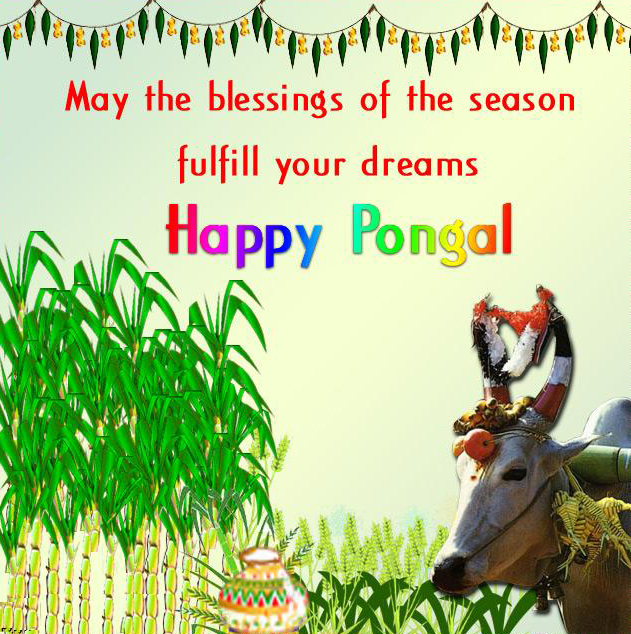Happy Pongal SMS