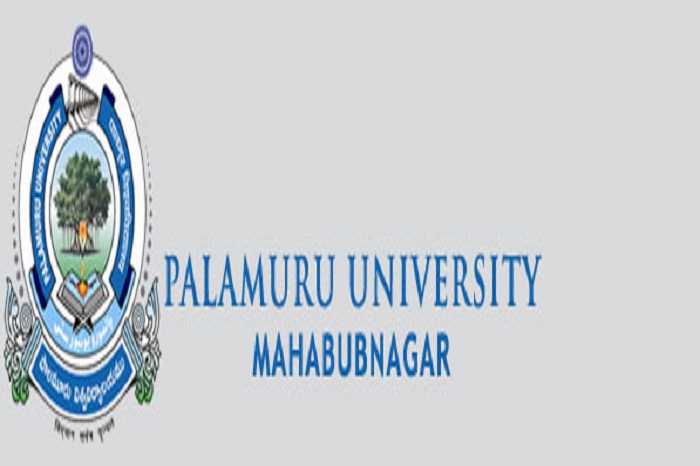 Palamuru University UG Degree Suppli Result 2016 to be announced soon @ www.palamuruuniversity.com