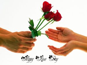 Happy Rose Day Pictures