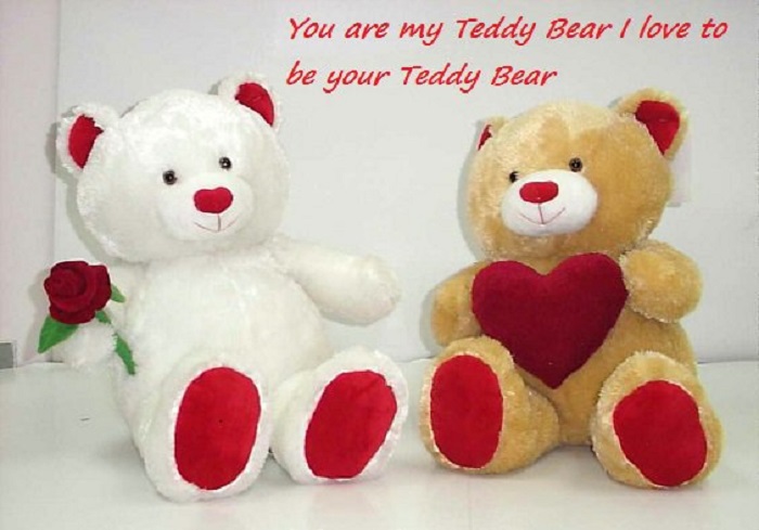 Happy Teddy Day Wallpapers