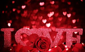 Happy Rose Day Quotes