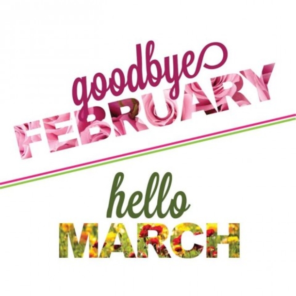 Goodbye February Images