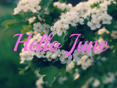 Welcome June Flowers