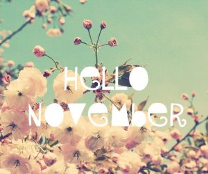 Welcome November Flowers