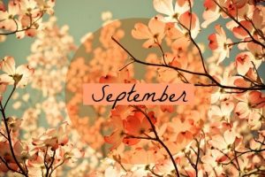 Welcome September Flowers