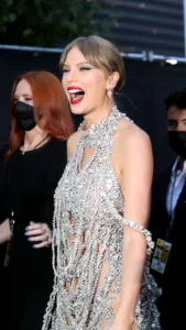 Taylor Swift VMA Dress
