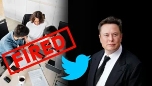 Twitter Layoffs: What Elon Musk Said About the layoffs