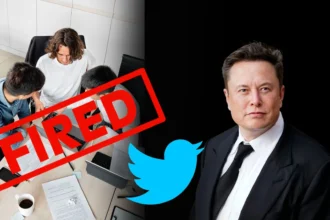 Twitter Layoffs: What Elon Musk Said About the layoffs