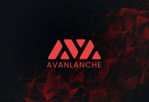 Grasping Avalanche Consensus protocol