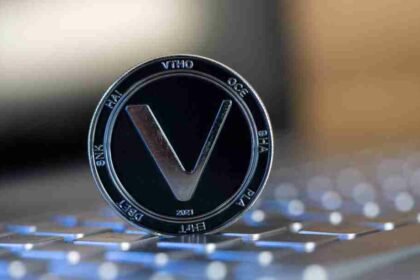 investment in VeChain