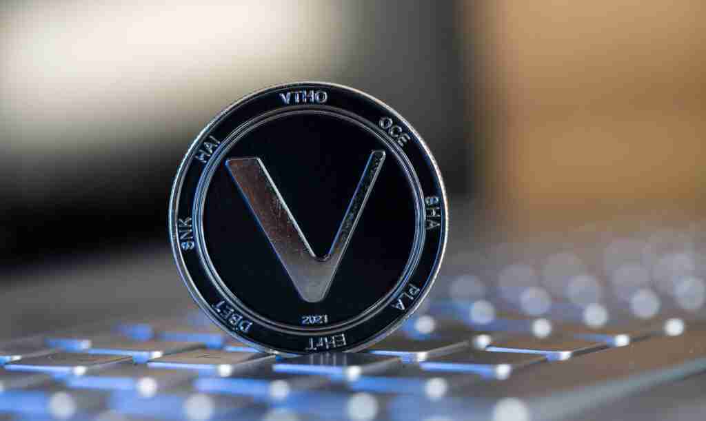 investment in VeChain